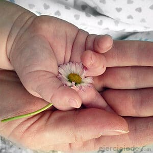 Dos manos con pequeña flor